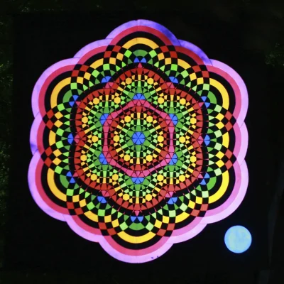 Reseeding - &copy;Funky String Fings