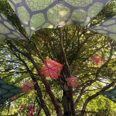 Covert Woods - &copy;Funky String Fings