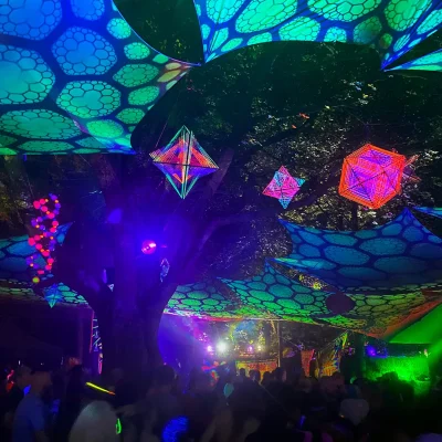 Wingmaker - &copy;Funky String Fings