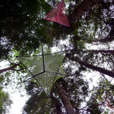 Beneath The Trees - &copy;Funky String Fings